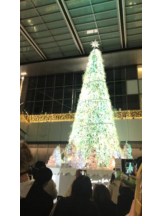 PURITY - セリーヌの女の子ブログ画像