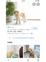 PURITY - セリーヌの女の子ブログ画像