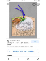 PURITY - セリーヌの女の子ブログ画像