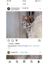 PURITY - セリーヌの女の子ブログ画像