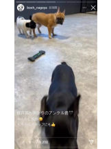 PURITY - セリーヌの女の子ブログ画像