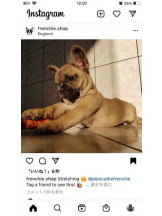 PURITY - セリーヌの女の子ブログ画像