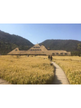 PURITY - セリーヌの女の子ブログ画像