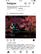 PURITY - セリーヌの女の子ブログ画像