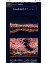 PURITY - セリーヌの女の子ブログ画像