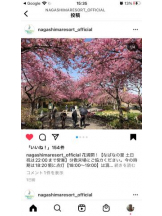 PURITY - セリーヌの女の子ブログ画像