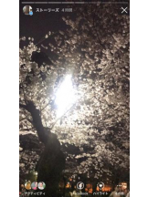 PURITY - セリーヌの女の子ブログ画像