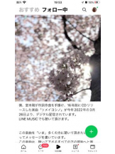 PURITY - セリーヌの女の子ブログ画像