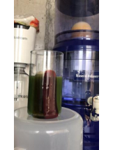 PURITY - セリーヌの女の子ブログ画像