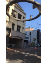 PURITY - セリーヌの女の子ブログ画像