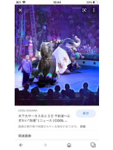 PURITY - セリーヌの女の子ブログ画像