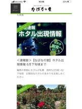 PURITY - セリーヌの女の子ブログ画像