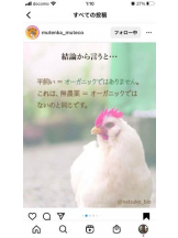 PURITY - セリーヌの女の子ブログ画像