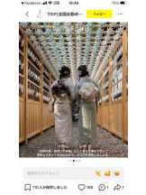 PURITY - セリーヌの女の子ブログ画像