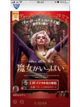 PURITY - セリーヌの女の子ブログ画像