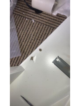 PURITY - セリーヌの女の子ブログ画像