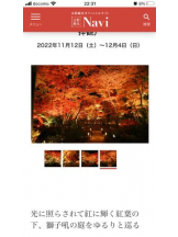 PURITY - セリーヌの女の子ブログ画像