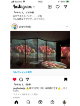 PURITY - セリーヌの女の子ブログ画像