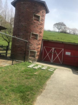 PURITY - セリーヌの女の子ブログ画像