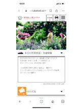 PURITY - セリーヌの女の子ブログ画像