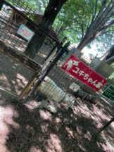 PURITY - セリーヌの女の子ブログ画像