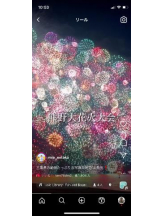 PURITY - セリーヌの女の子ブログ画像