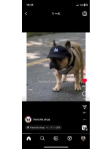 PURITY - セリーヌの女の子ブログ画像