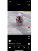 PURITY - セリーヌの女の子ブログ画像