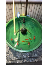 PURITY - セリーヌの女の子ブログ画像