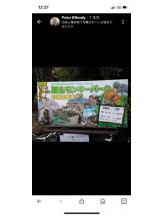 PURITY - セリーヌの女の子ブログ画像