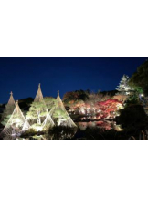 PURITY - セリーヌの女の子ブログ画像