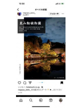 PURITY - セリーヌの女の子ブログ画像