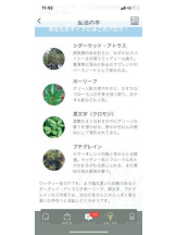 PURITY - セリーヌの女の子ブログ画像