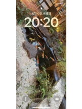 PURITY - セリーヌの女の子ブログ画像