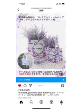 PURITY - セリーヌの女の子ブログ画像