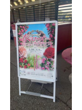 PURITY - セリーヌの女の子ブログ画像