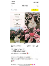 PURITY - セリーヌの女の子ブログ画像