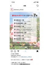 PURITY - セリーヌの女の子ブログ画像