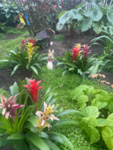 PURITY - セリーヌの女の子ブログ画像