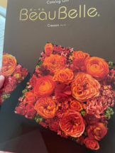 PURITY - セリーヌの女の子ブログ画像