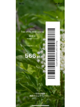 PURITY - セリーヌの女の子ブログ画像