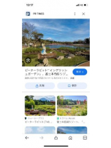 PURITY - セリーヌの女の子ブログ画像