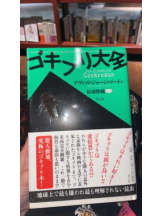 PURITY - セリーヌの女の子ブログ画像