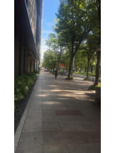 PURITY - セリーヌの女の子ブログ画像