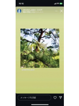 PURITY - セリーヌの女の子ブログ画像