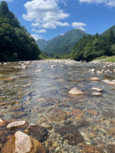 PURITY - セリーヌの女の子ブログ画像