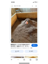 PURITY - セリーヌの女の子ブログ画像