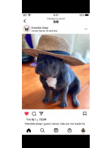 PURITY - セリーヌの女の子ブログ画像