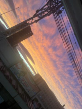 PURITY - セリーヌの女の子ブログ画像