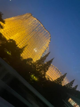 PURITY - セリーヌの女の子ブログ画像